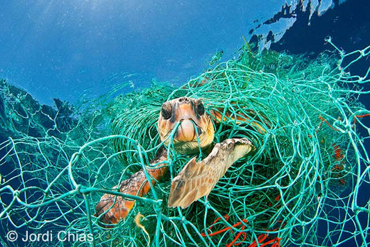 Plastic: A Problem, a Solution.