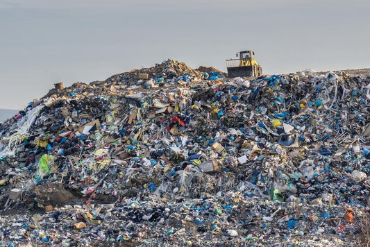 The Circular Economy: A Solution Or A Fantasy?